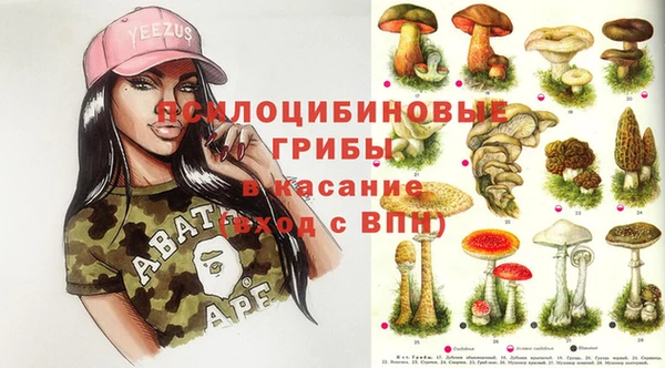 не бодяженный Алзамай