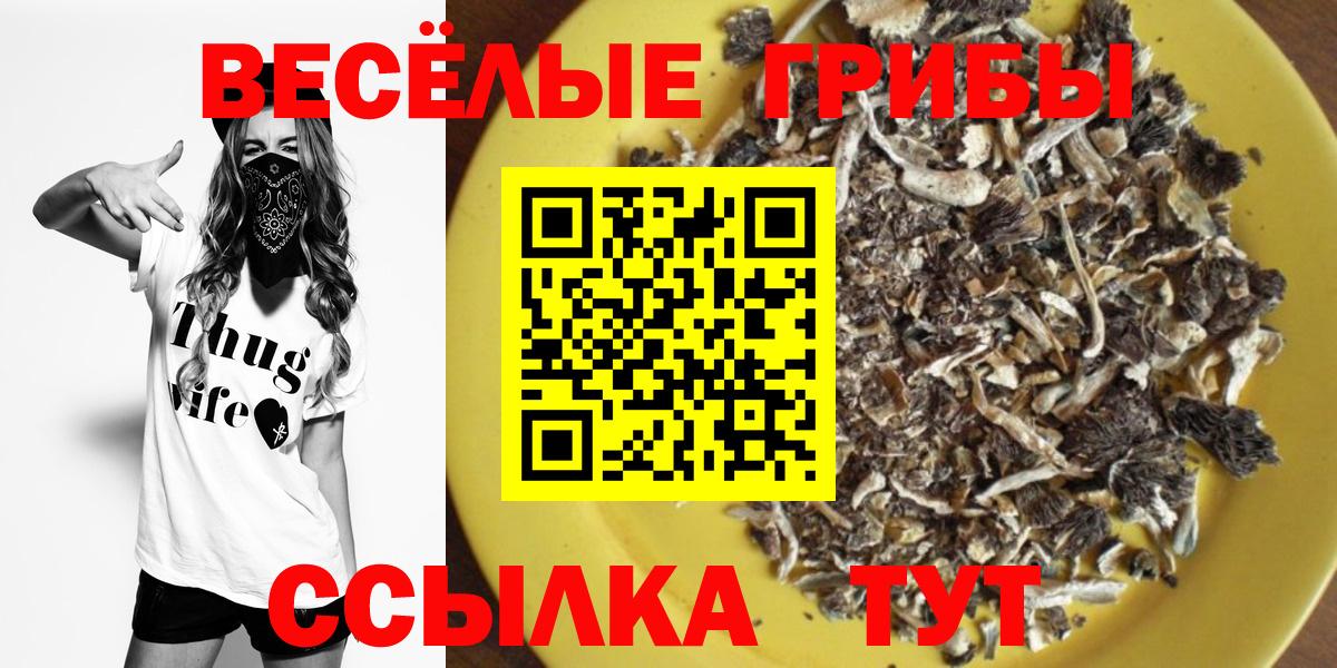 Галлюциногенные грибы Psilocybe Углич