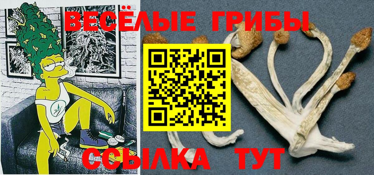 сколько стоит  Вход с VPN  Галлюциногенные грибы ЛСД  Углич  Галлюциногенные грибы мицелий 