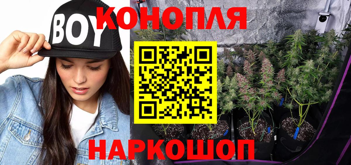 Бошки Шишки семена Углич